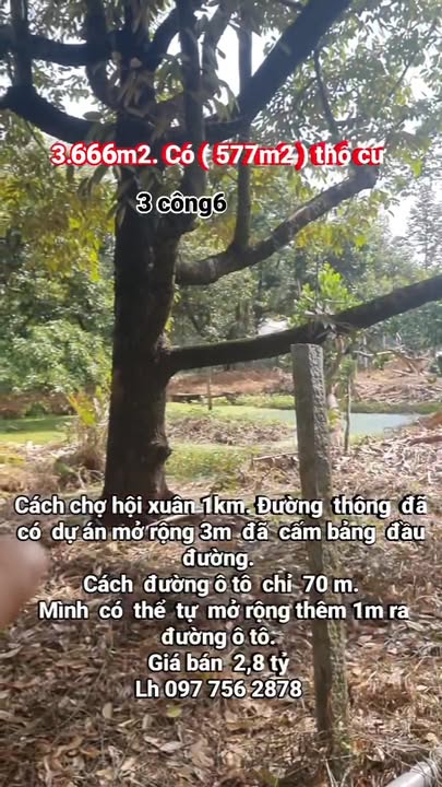 Đất vườn cây tạp Hội Xuân, Cai Lậy 3.666m² - Cơ hội đầu tư hấp dẫn!