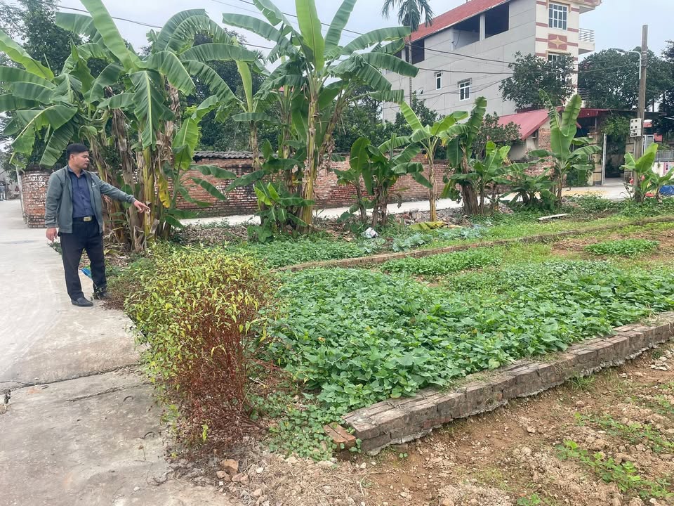 Đất 2 mặt ngõ Thanh Lâm, Mê Linh 78m² giá 3.25 tỷ - Sổ đỏ chính chủ!