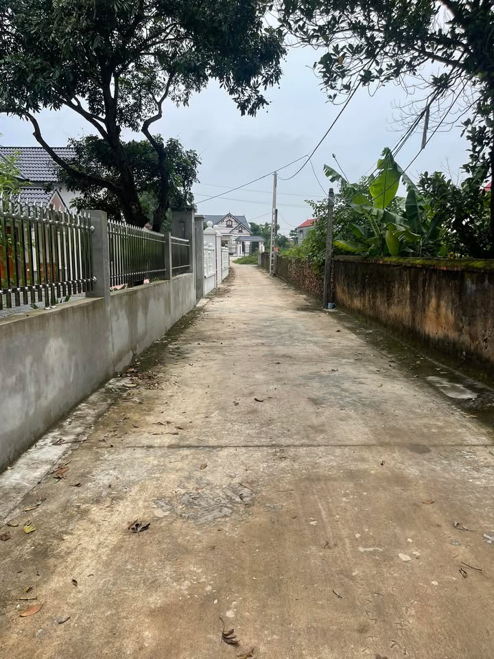 Đất Thổ Cư Thái Đào Lạng Giang 85m² giá 700 triệu - Sổ đỏ chính chủ sẵn sàng sang tên!