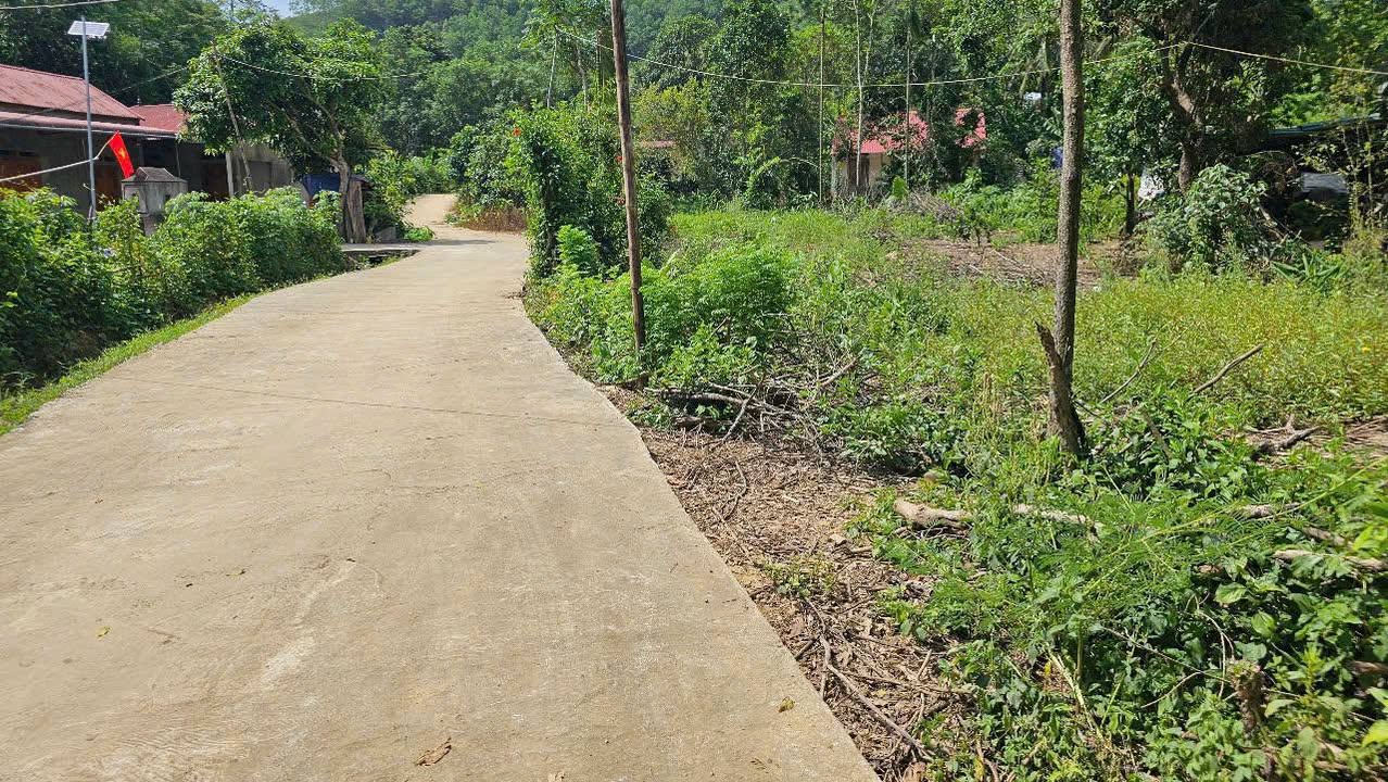 Đất nền Cẩm Quý 2400m² giá 600 triệu - Lô góc 2 mặt tiền rộng rãi!