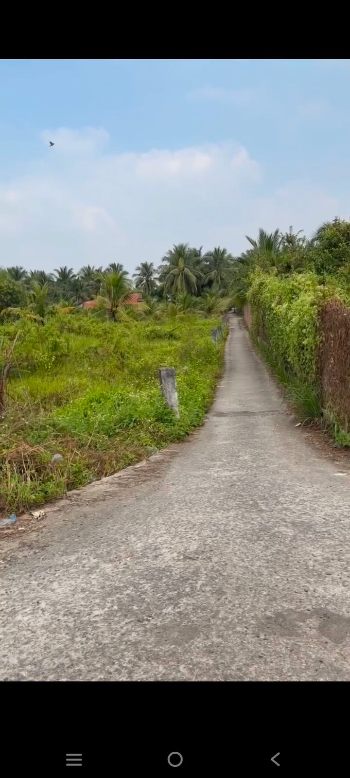 Đất nền Phú Tân, An Giang 1000m² giá 1.6 tỷ - Sổ hồng chính chủ sẵn sàng giao dịch!