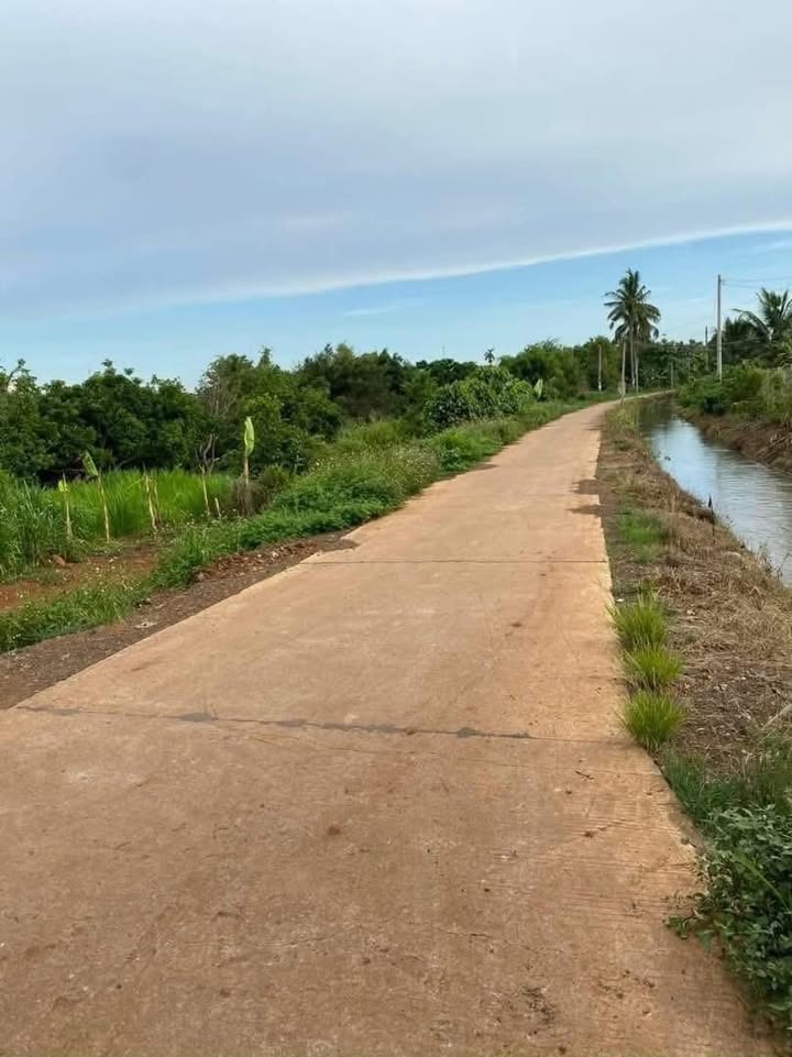 Đất thổ cư Thành Nhất 8.3 sào giá thỏa thuận - Vị trí cực đẹp gần chợ