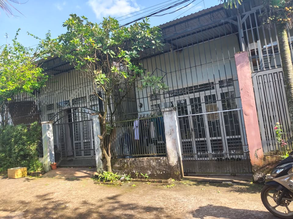 Đất nông nghiệp Cư Êbur 96m² giá 1 tỷ - Đầu tư sinh lời ngay!