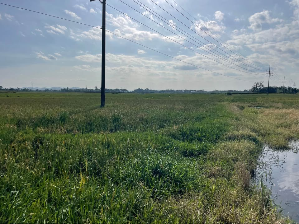 Đất nền Hòa Khánh Buôn Ma Thuột 8280m² giá 220 triệu - Cơ hội đầu tư hấp dẫn!