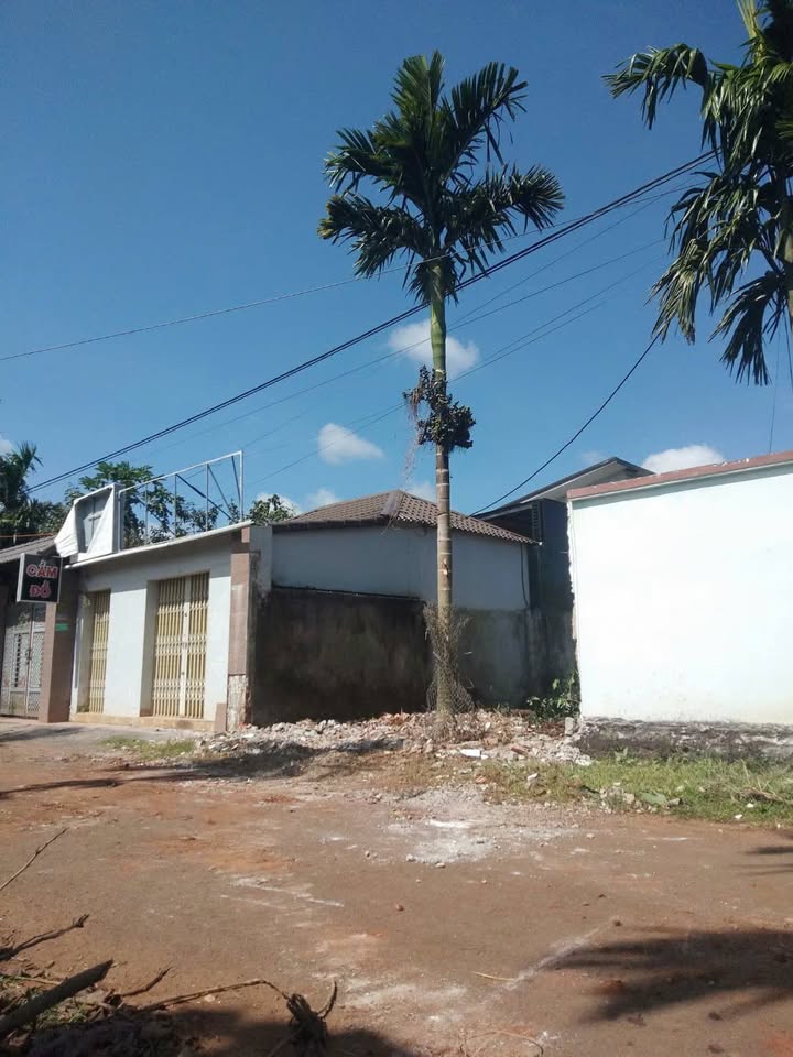 Đất nền phường Tân An Buôn Ma Thuột 150m² giá 1.89 tỷ - Đầu tư sinh lời ngay!