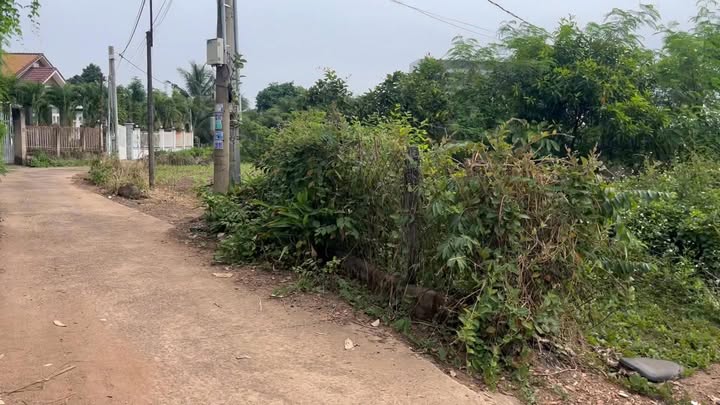 Đất thổ cư 1500m² Xuân Hiệp giá 1.5 tỷ - Phù hợp xây nhà vườn nghỉ dưỡng!