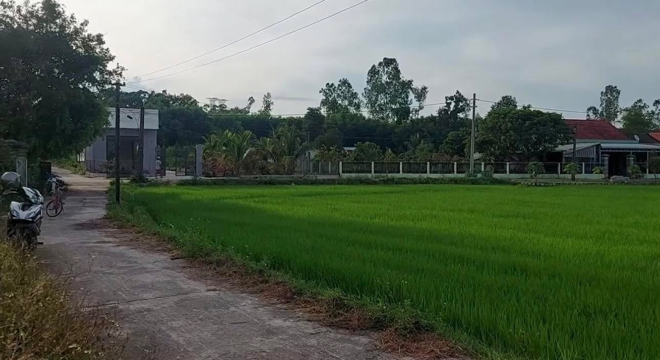 Đất thổ cư 2500m² tại Thôn Hoà Mỹ, Đà Nẵng - Giá 1 tỷ hợp lý!