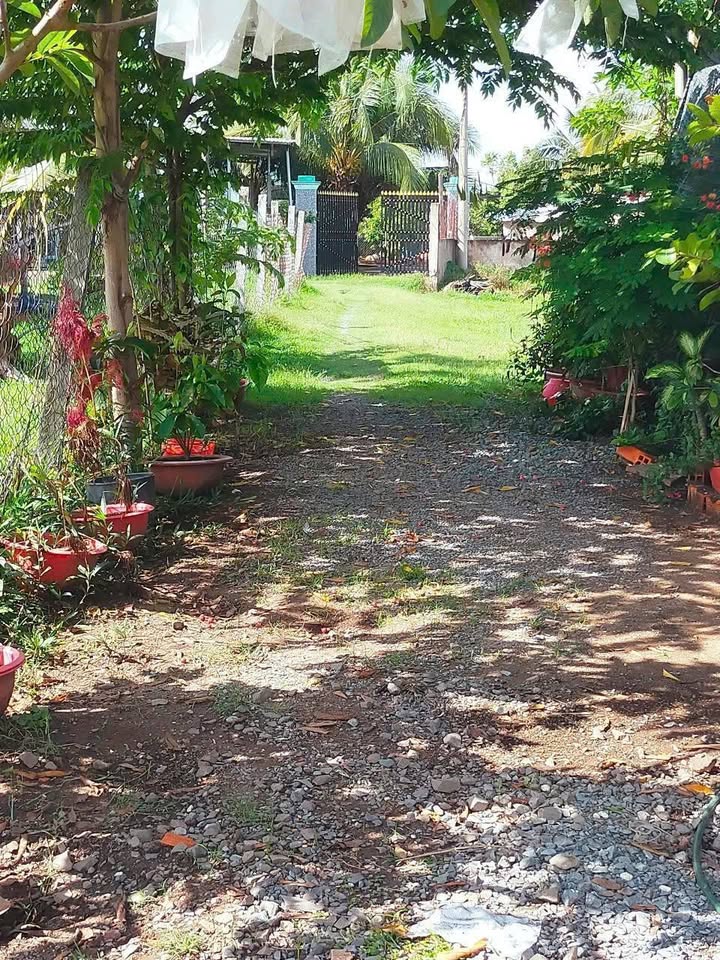 Đất nền Mỹ Hạnh Bắc, Đức Hòa, Long An 120m² giá 450 triệu - Sổ hồng riêng chính chủ!