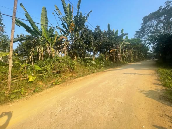 Đất nền thổ cư xã Gia Mô, Tân Lạc, Hoà Bình 508m² chỉ 400 triệu - Cơ hội đầu tư tuyệt vời!