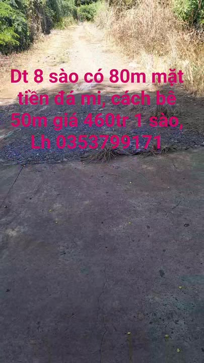 Đất nền 8 sào Phú Hòa, Định Quán, Đồng Nai 4.6 tỷ - Mặt tiền đường lớn, giao thông thuận lợi!