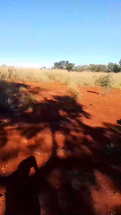 Đất nền 1,2ha tại ấp 7 Bình Minh giá chỉ 600 triệu - Cơ hội đầu tư hấp dẫn!