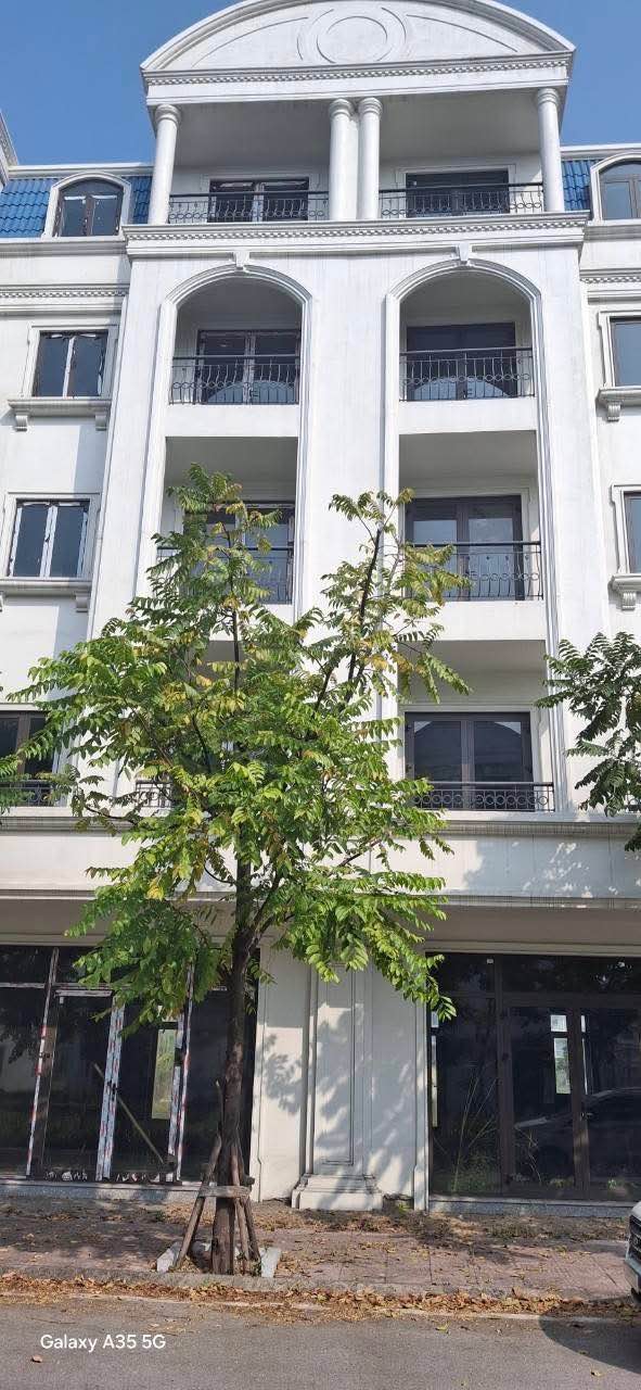 Biệt thự mặt biển Saffabay Cẩm Phả 93.5m² giá 6 tỷ - Đầu tư sinh lời lý tưởng!