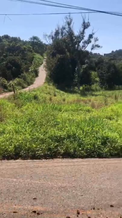 Đất nền Tân Lạc Bảo Lâm 2400m² giá 4.7 tỷ - Mặt tiền đường nhựa, cơ hội đầu tư tốt!