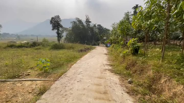 Đất thổ cư 324m² tại Xuân Viên, Yên Lập chỉ 100 triệu - Cơ hội đầu tư tuyệt vời!