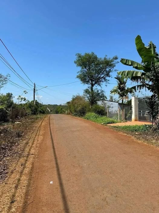 Đất nền mặt tiền Trần Cảnh, An Lạc, Buôn Hồ 1500m², giá chỉ từ 1 tỷ!