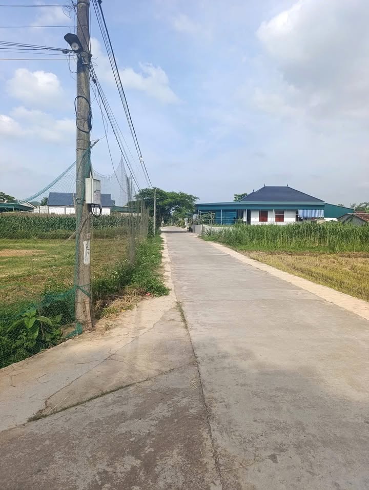 Đất nền Nghĩa Hội 187m² giá chỉ 700 triệu - Vị trí trung tâm lý tưởng!