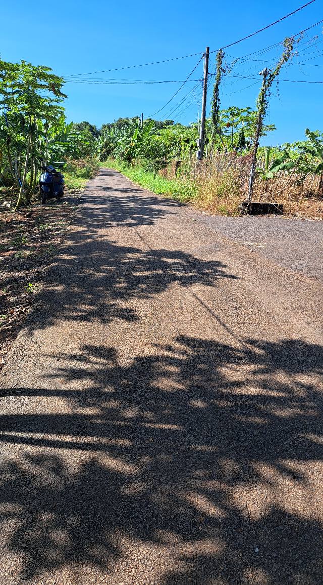 Đất nền Đá Bạc, Châu Đức 1057m² giá 1.45 tỷ - Pháp lý rõ ràng, tiện ích đầy đủ!