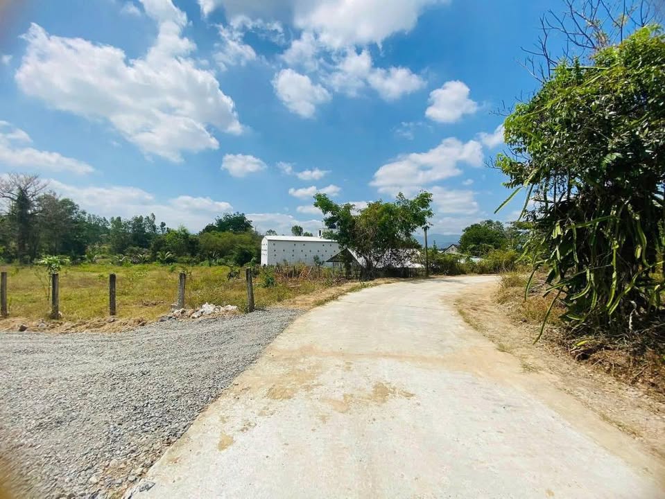 Đất thổ cư 220m² Ninh Sim, Ninh Hòa - Đầu tư sinh lời, giá tốt!