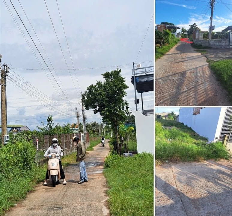 Đất thổ cư 100m² mặt đường bê tông xã Hàm Liêm, 240m² giá 800 triệu - Cơ hội đầu tư hấp dẫn!