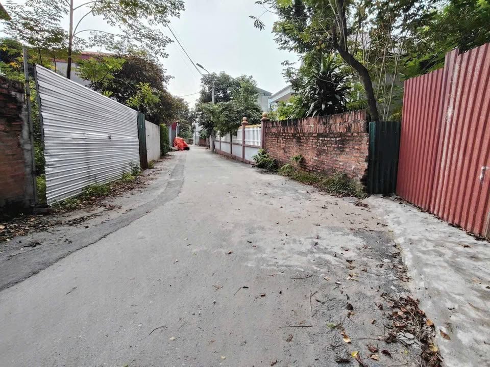 Đất nền Định Trung, Vĩnh Yên 100m² giá 1.9 tỷ - Vị trí đắc địa, tiện ích đầy đủ!