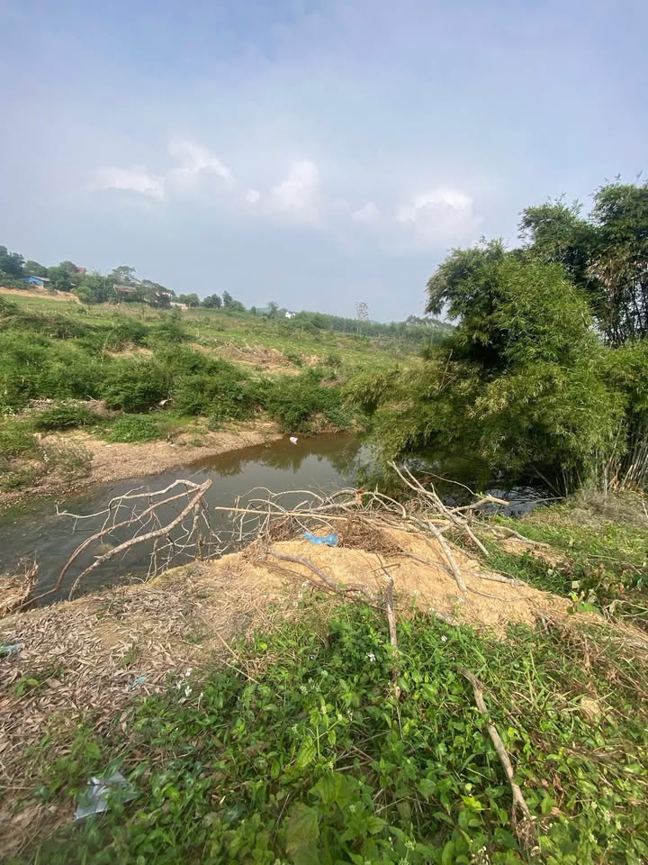 Đất trồng cây lâu năm 3000m² tại Đồng Tâm, Yên Thế, Bắc Giang - Giá thỏa thuận hấp dẫn!