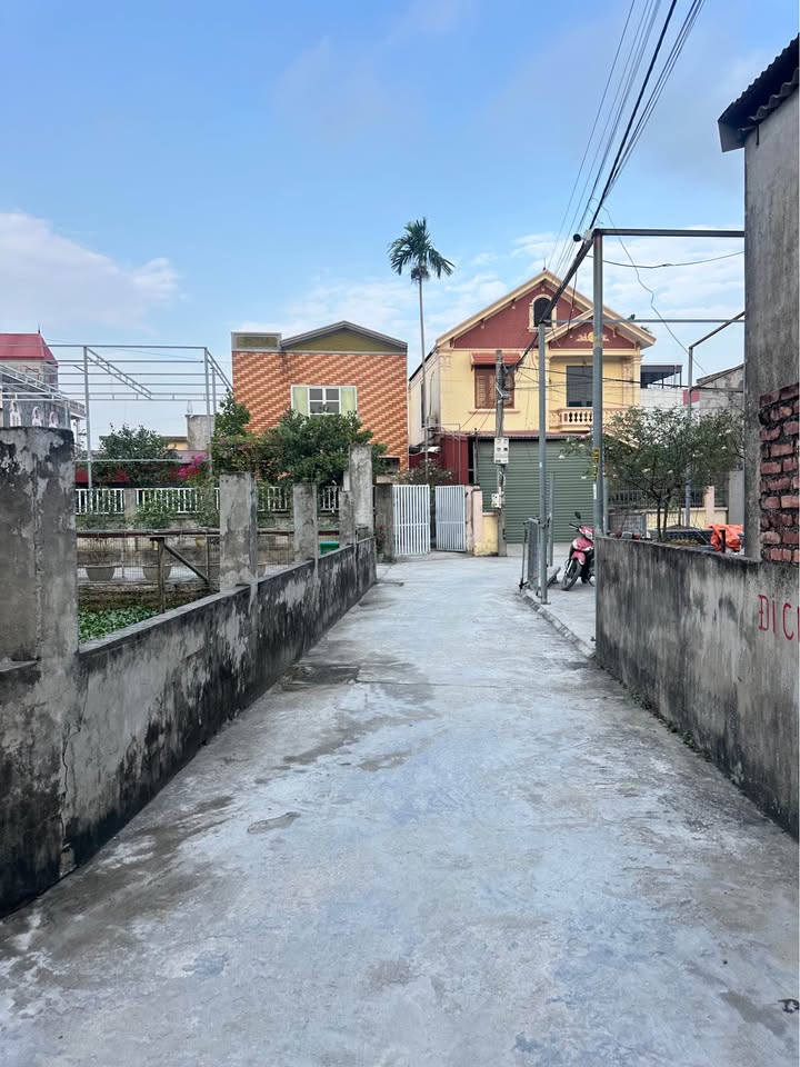 Đất Kiều Trung Hồng Thái An Dương 61m² chỉ 1,3 tỷ - Chính chủ cần bán gấp!