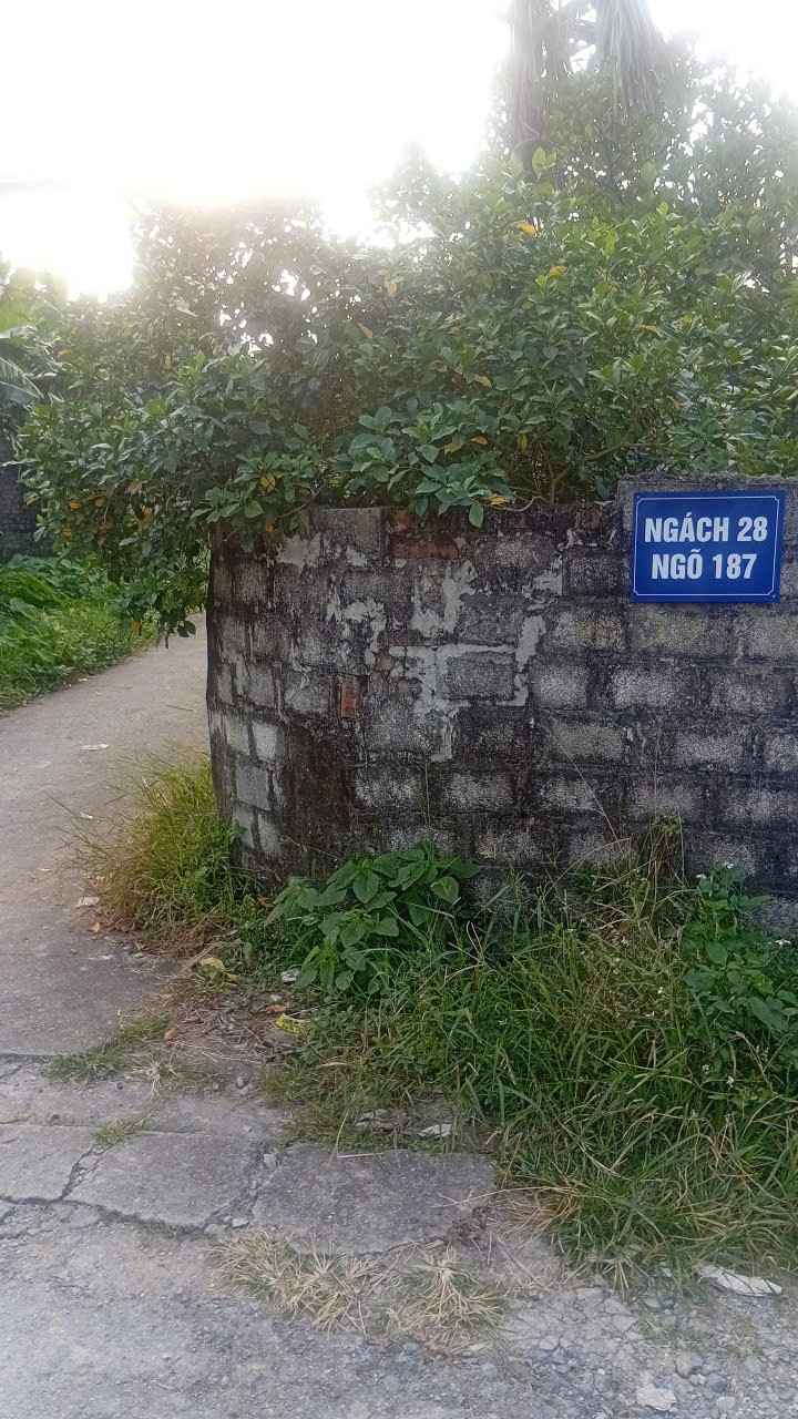 Đất nền Bắc Sơn An Dương 118m² giá chỉ 1.77 tỷ - Cơ hội đầu tư không thể bỏ qua!