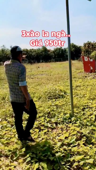 Đất 3 sào La Ngà, Định Quán giá chỉ 950 triệu - Đầu tư sinh lời ngay!