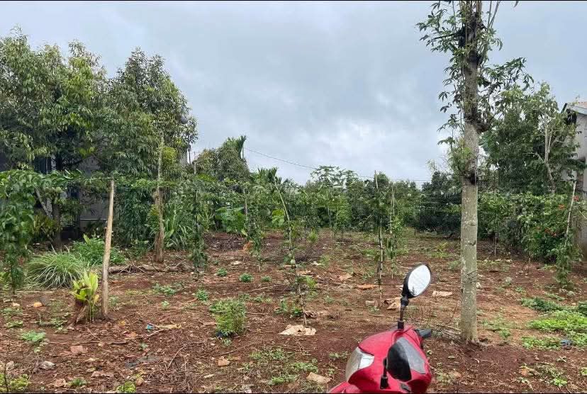 Đất nền Phú Xuân 600m² giá 1 tỷ - Đường bê tông thuận tiện