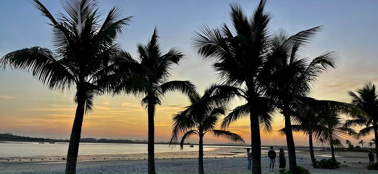 Bán đất nền biệt thự Bãi Cháy 325m² giá 7 tỷ - Cơ hội đầu tư siêu hấp dẫn!