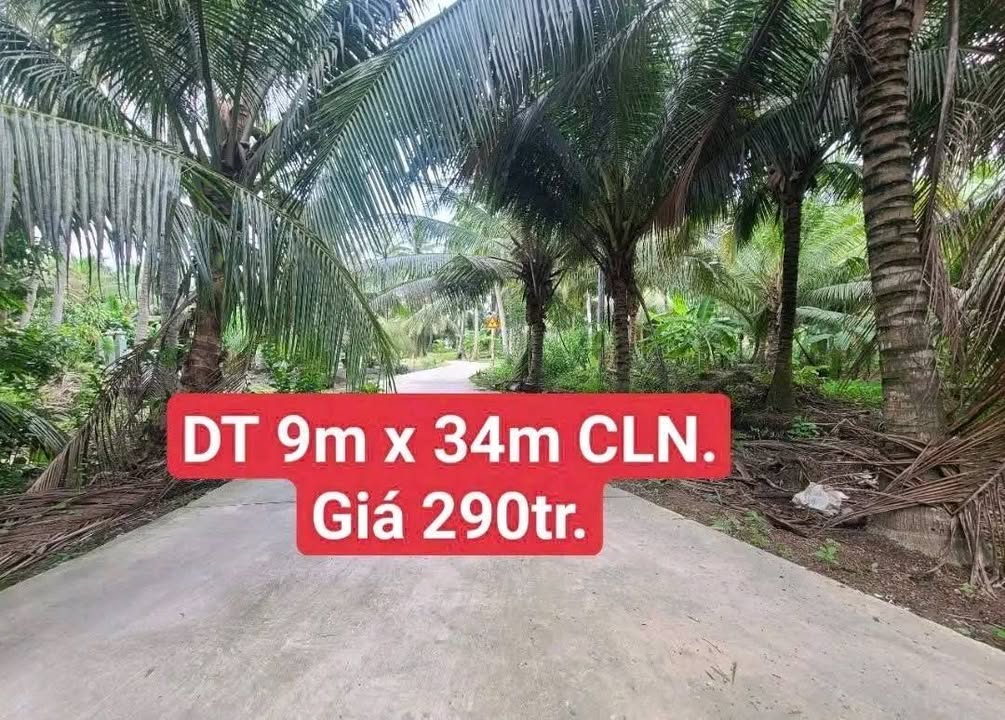 Đất nền Gò Công Tây 306m² chỉ 290 triệu - Sổ hồng sẵn sàng công chứng!
