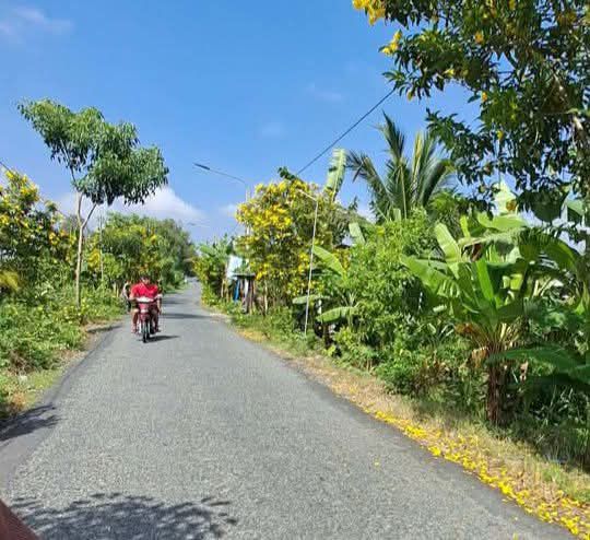 Đất nền Trường Thắng, Thới Lai 4221m² giá 2.53 tỷ - Đầu tư sinh lời lâu dài!