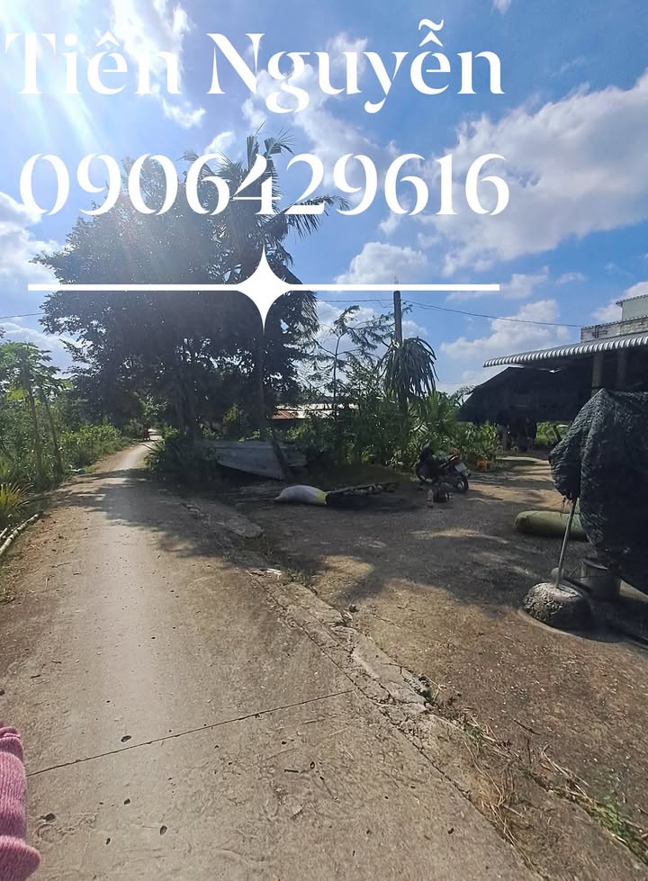 Đất nền Thới Tân, Thới Lai 6000m² chỉ 150 triệu - Pháp lý rõ ràng, tiện ích đầy đủ!