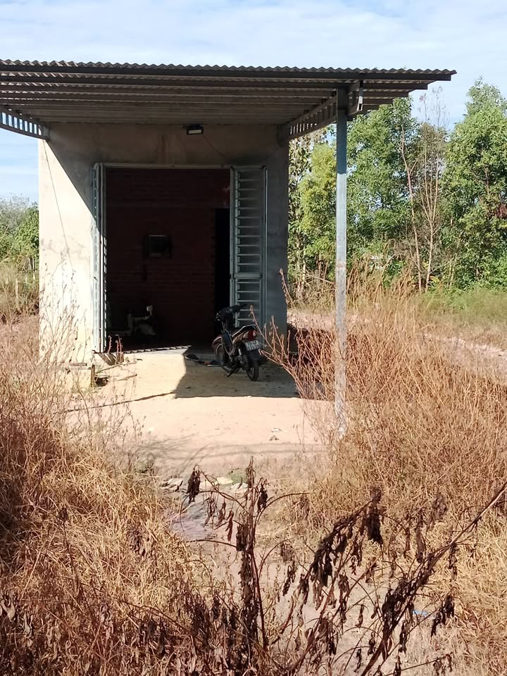 Nhà đất Thạnh Tây, Tân Biên 340m² giá chỉ 440 triệu - Cơ hội đầu tư lý tưởng!