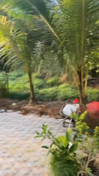 Bán đất nhà vườn 1.200m² tại Vĩnh Tân, Vĩnh Cửu - Giá 3.2 tỷ, cơ hội đầu tư hấp dẫn!