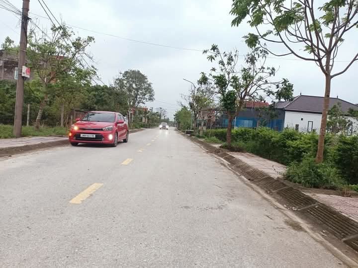 Đất nền 175m² đường Nguyễn Đình Liễn, Cẩm Xuyên - Lô góc 2 mặt tiền chỉ 1.55 tỷ!