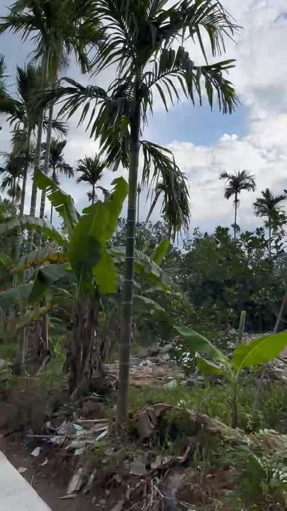 Đất nền Hương Thọ, TP Huế 184m² giá chỉ 552 triệu - Đầu tư sinh lời ngay!