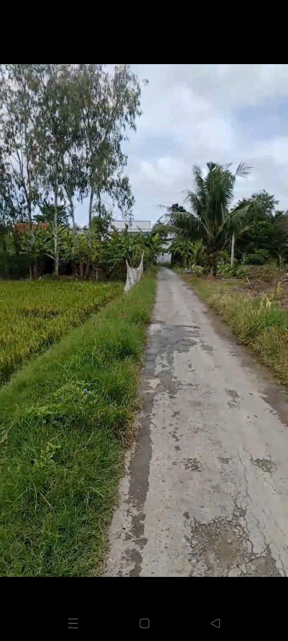 Đất nền Vĩnh Chánh 1916m² giá 1 tỷ - Cơ hội đầu tư tuyệt vời!