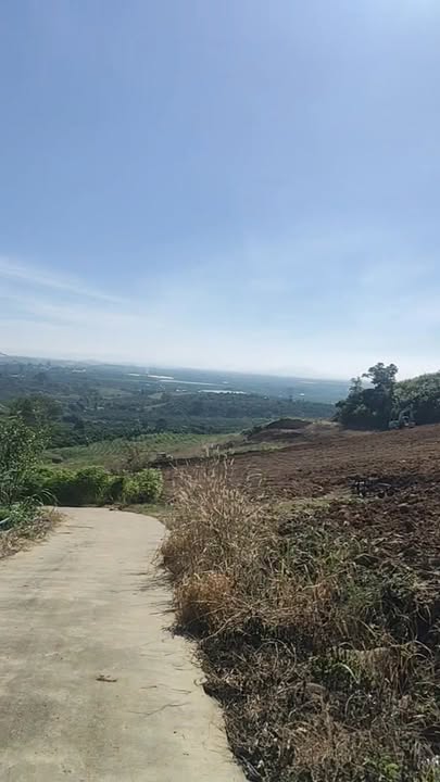 Đất nền Tân Văn, Lâm Hà 1000m² giá chỉ 600 triệu - Đầu tư sinh lời ngay!