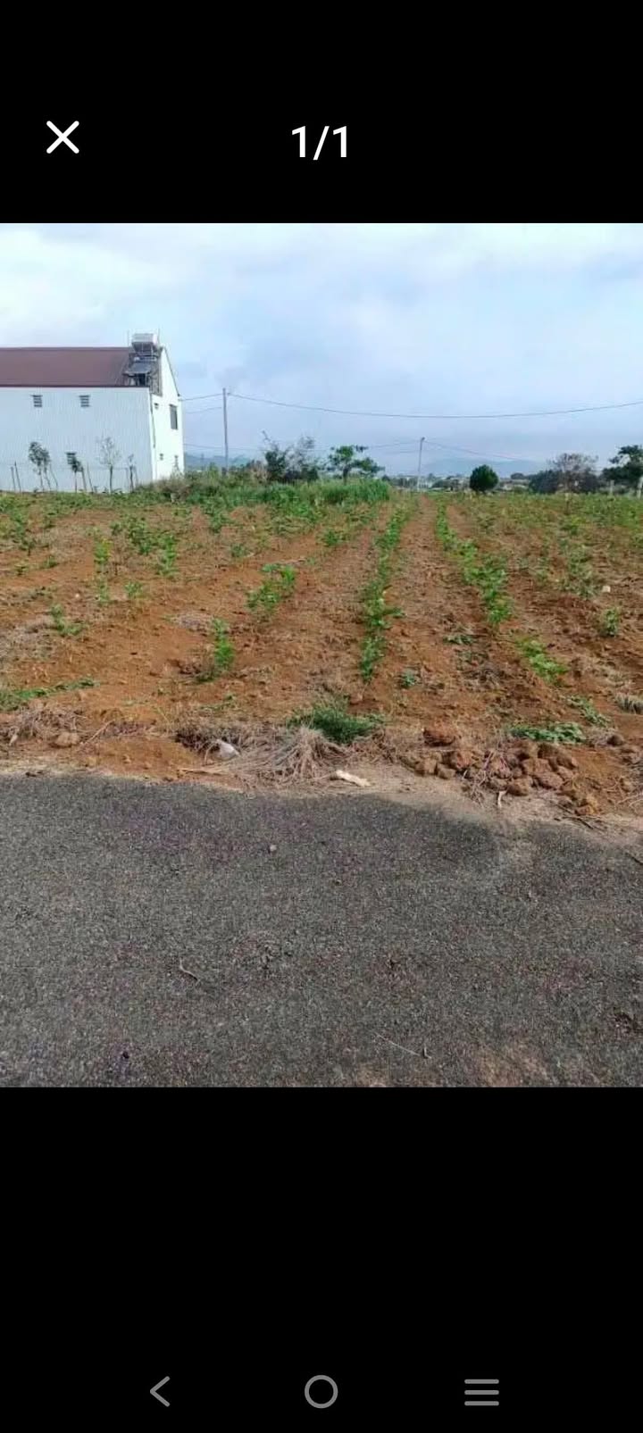 Đất thổ cư Bảo Lộc 138m² giá 1.35 tỷ - Xây dựng tự do, vị trí đẹp!