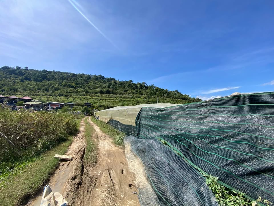 Đất nền Ka Đơn 9000m² giá 7.92 tỷ - Sẵn chòi nhà và đầy đủ tiện nghi!