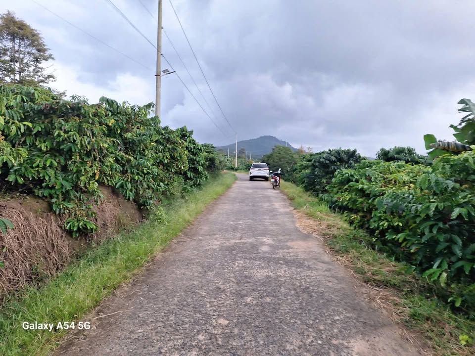 Đất nền Hòa Bắc - Di Linh 2,5ha giá 6,5 tỷ - Đầu tư sinh lời ngay!