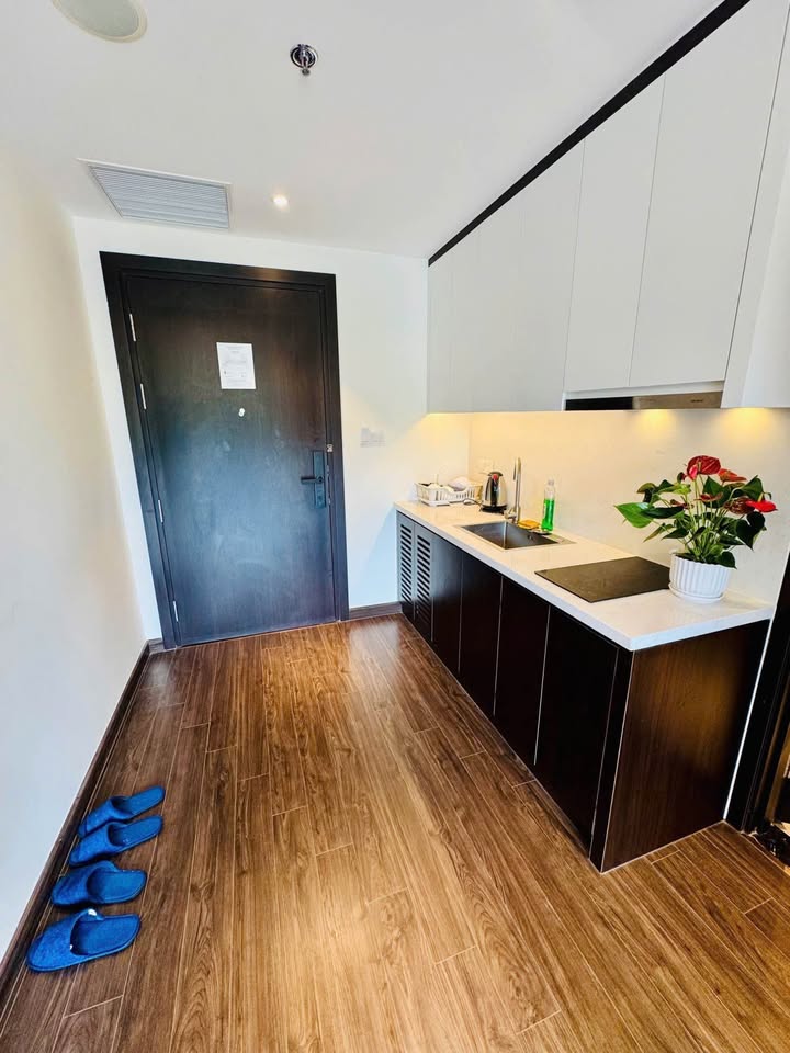 Căn hộ chung cư Sapphire Hạ Long 50m² giá 2 tỷ - View vòng quay mặt trời tuyệt đẹp!