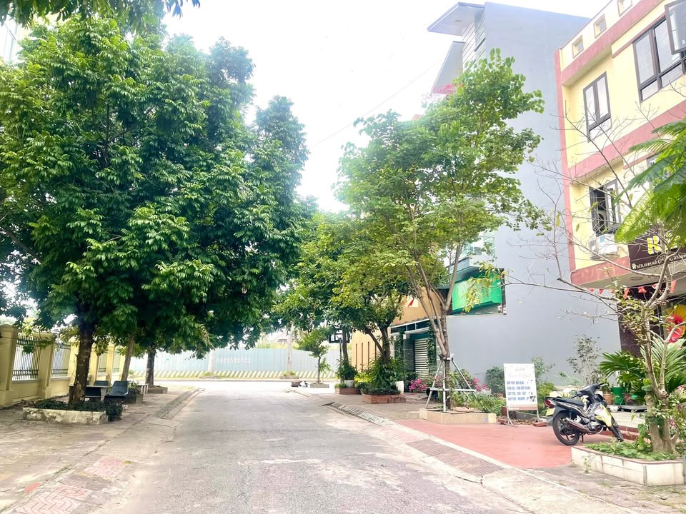 Đất nền Cao Xanh Hạ Long 90m² giá chỉ 5 tỷ - Cơ hội đầu tư tuyệt vời!