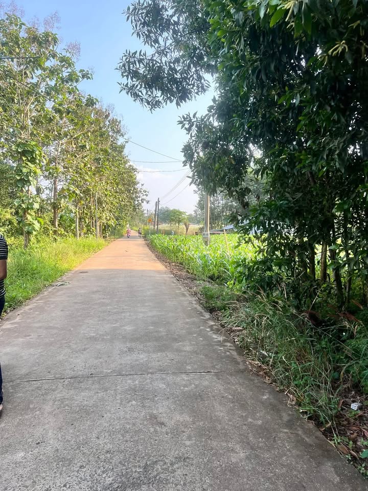 Đất nền đường 13, xã Gia Canh, 2000m² - Giá thỏa thuận hấp dẫn!