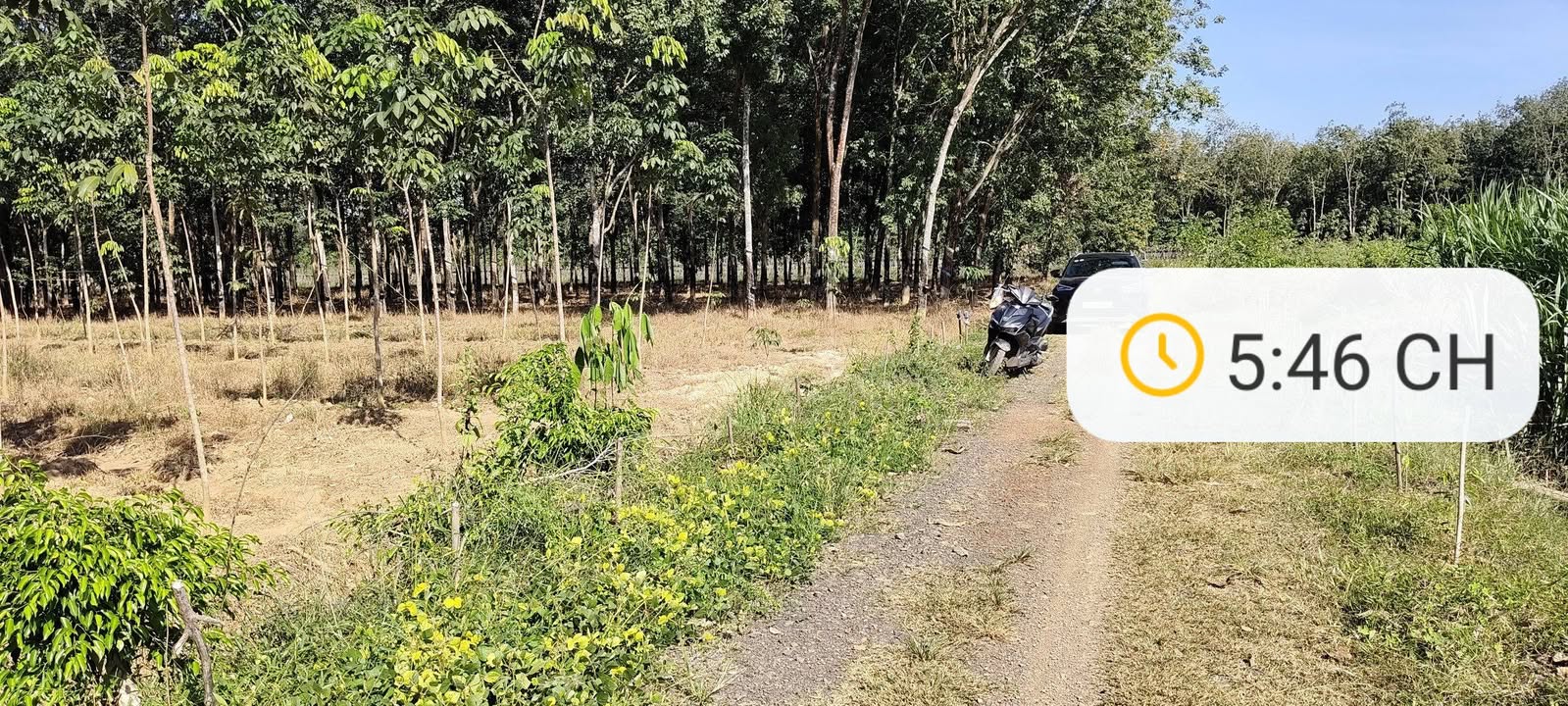 Đất nền xã Đồng Tiến 10.000m² giá 1.3 tỷ - Sổ đỏ chính chủ, ô tô vào tận nơi!