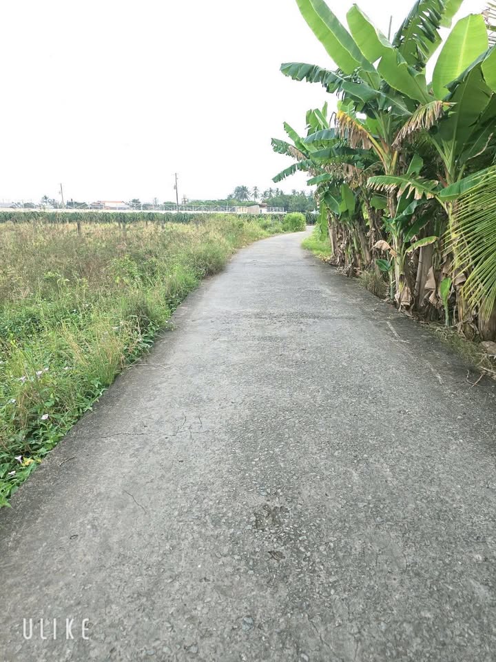 Đất thổ cư tại Hiệp Thạnh, Châu Thành 150m² giá chỉ 390 triệu - Đường xe hơi vào tận nơi!