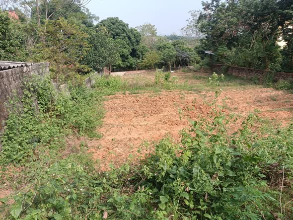 Đất thổ cư tại Quỳnh Sơn, Yên Dũng - Diện tích từ 103m², giá chỉ 5xx triệu!