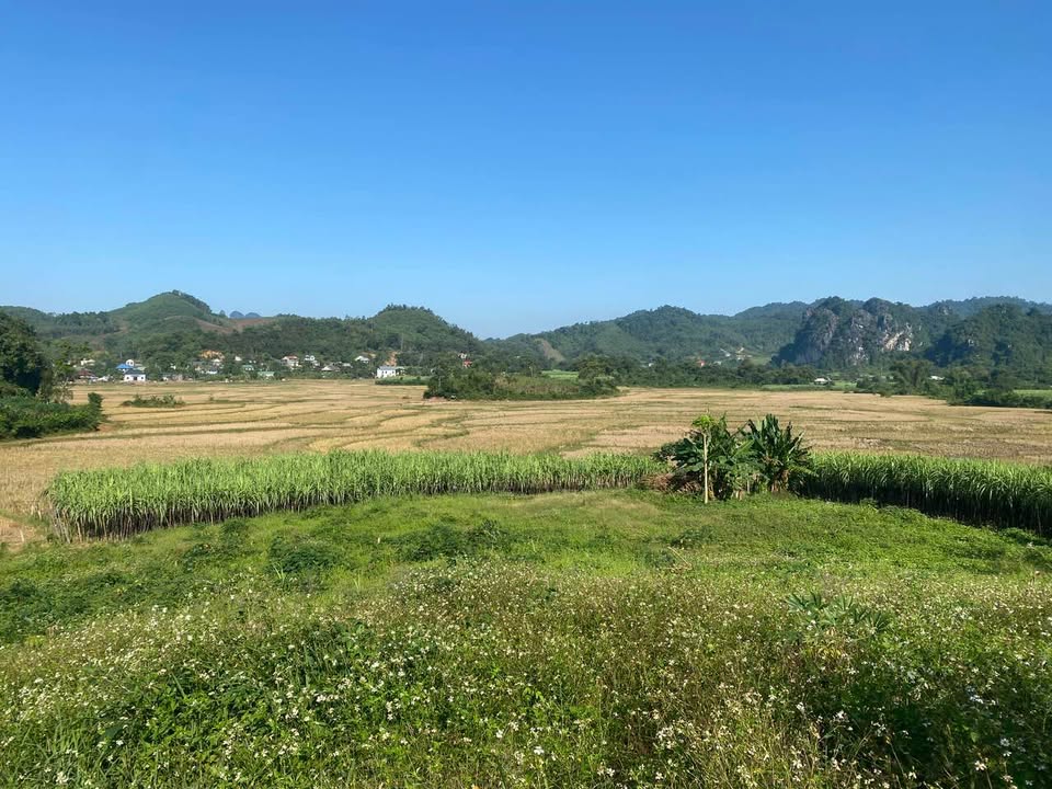 Đất nền 5000m² tại xã Mỹ Hoà, huyện Tân Lạc, Hòa Bình - Giá chỉ 1.9 tỷ