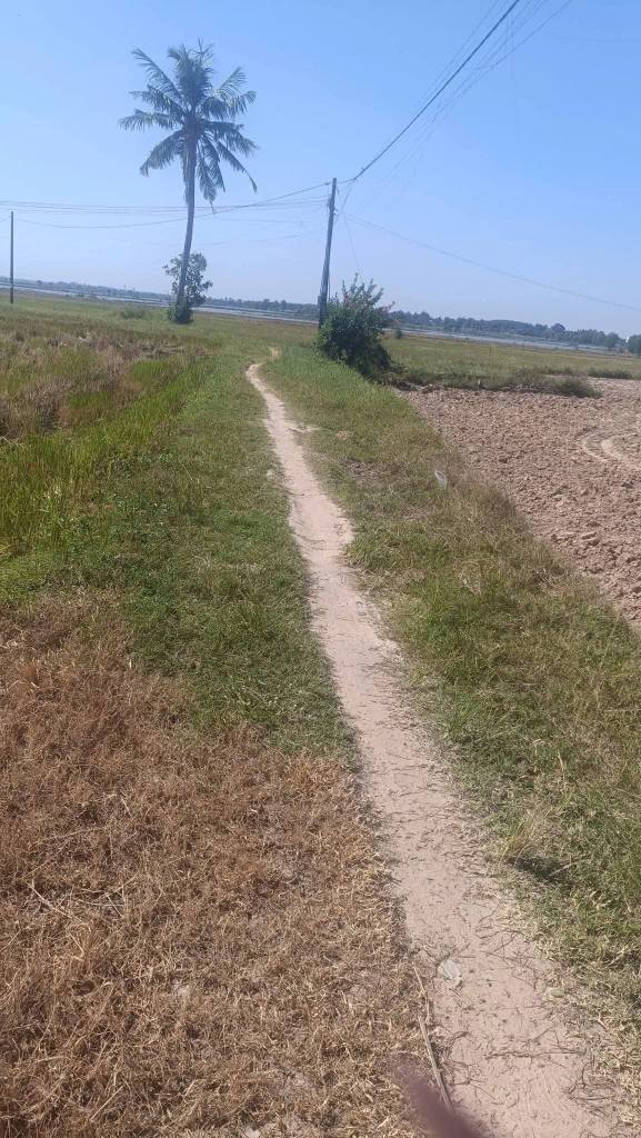 Đất Phước Vinh, Châu Thành 60000m² giá 1.1 tỷ - Sổ hồng chính chủ, đầu tư sinh lời!